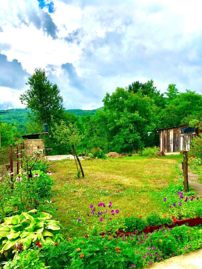 Guesthouse D&D Licko Petrovo Selo Bagian luar foto