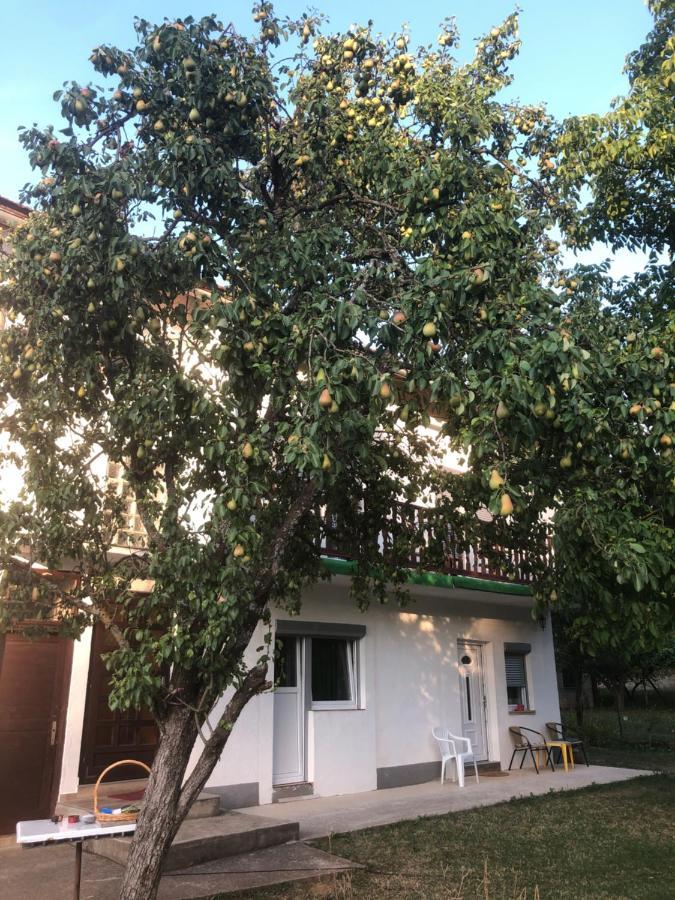 Guesthouse D&D Licko Petrovo Selo Bagian luar foto