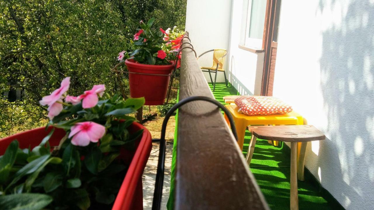 Guesthouse D&D Licko Petrovo Selo Bagian luar foto